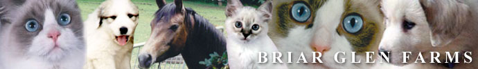 Briar Glen Farms