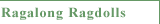 Ragalong Ragdolls