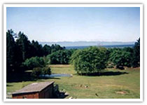 Briar Glen Farm