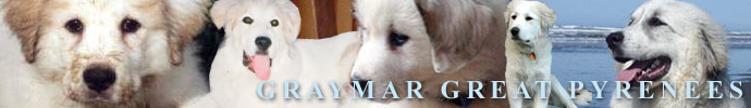 Breeders of Graymar Great Pyrenees