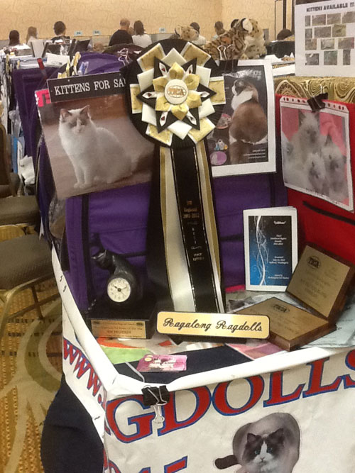 Ragalong Ragdoll Winners