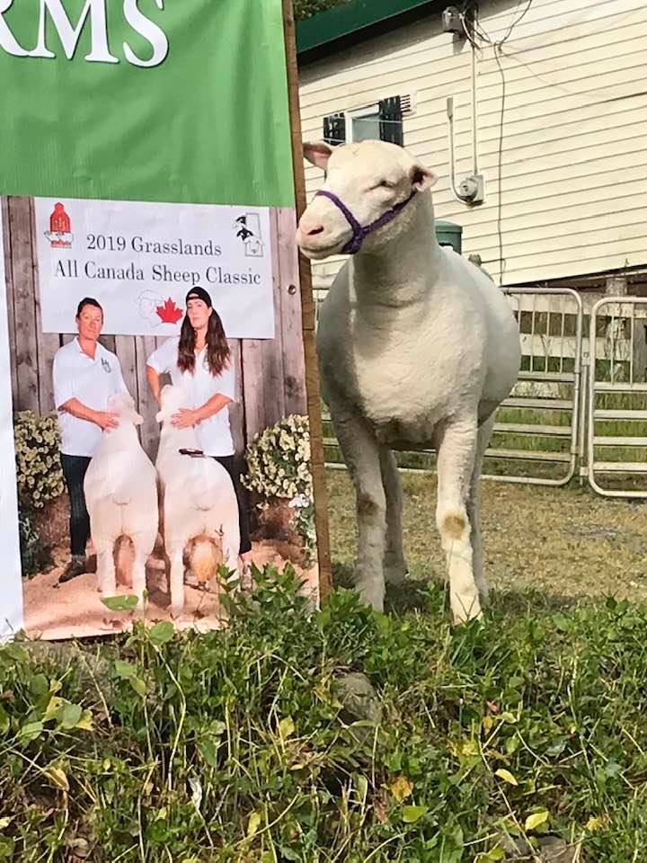 Briar Glen Farm